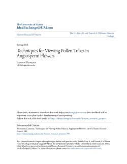 Techniques for Viewing Pollen Tubes in Angiosperm Flowers