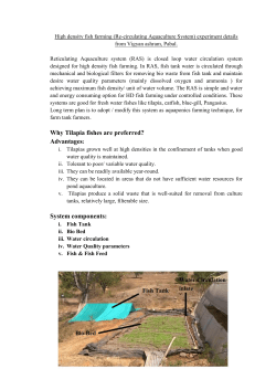 high density fish harvesting (1st month)