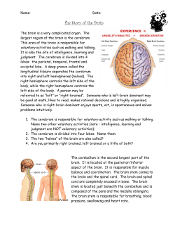 The Story of the Brain - Elmwood Park Memorial Middle School