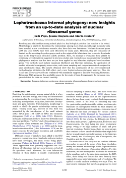 Lophotrochozoa internal phylogeny: new insights from an up-to