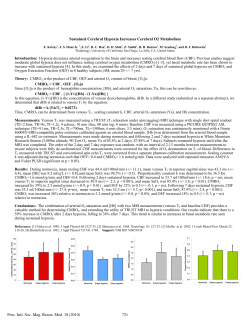Sustained Cerebral Hypoxia Increases Cerebral O2