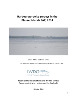Harbour Porpoise Survey Blasket Islands SAC 2014
