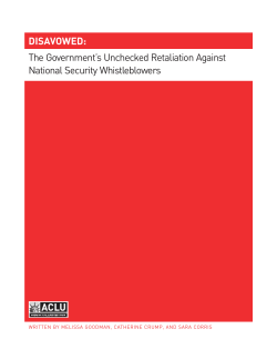 DISAVOWED: The Government`s Unchecked Retaliation