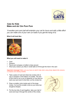 Cats for Kids Make and do! Om Pom Pom