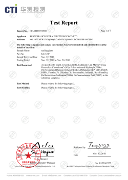 Test Report