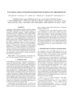 FUNCTIONAL SEMI-AUTOMATED SEGMENTATION OF RENAL