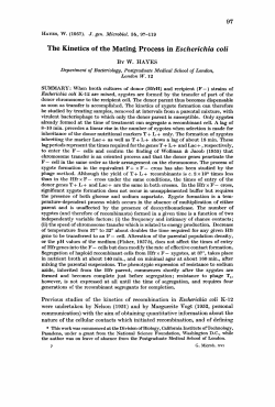 The Kinetics of the Mating Process in Escherichia coli