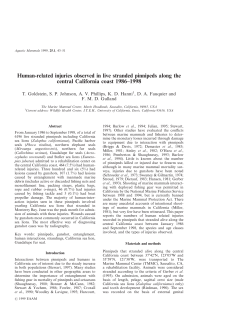 Human-related injuries observed in live stranded pinnipeds along