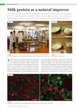 Milk protein as a natural improver