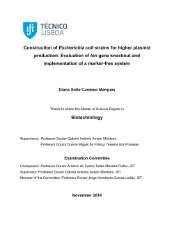 Construction of Escherichia coli strains for higher plasmid production