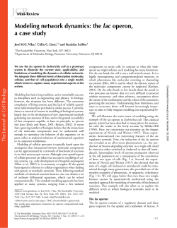 Modeling network dynamics: the lac operon, a case study