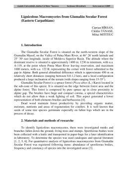 Lignicolous Macromycetes from Giumalău Secular Forest (Eastern