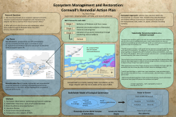 Ecosystem Management and Restoration: Cornwall`s Remedial