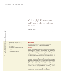 Chlorophyll Fluorescence: A Probe of Photosynthesis In Vivo