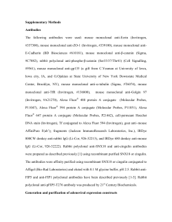 Supplementary Methods Antibodies The following antibodies were