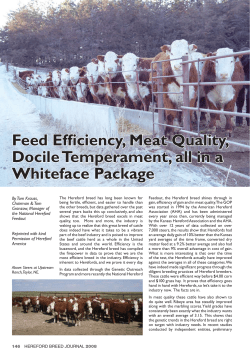 Feed Efficiency, Meat Quality, Docile Temperament, all in a