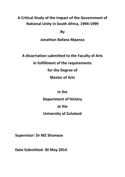 A Critical Study of the Impact of the Government of National Unity in