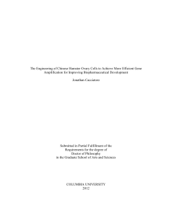 The Engineering of Chinese Hamster Ovary Cells to Achieve More