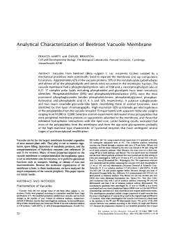 Analytical Characterization of Beetroot Vacuole