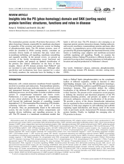 Insights into the PX (phox-homology) domain and SNX (sorting nexin)