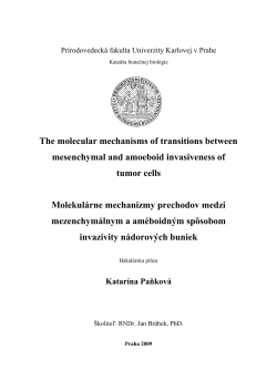 The molecular mechanisms of transitions between mesenchymal