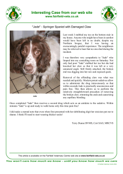 here - Fairfield Veterinary Centre