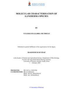 molecular characterisation of ganoderma species