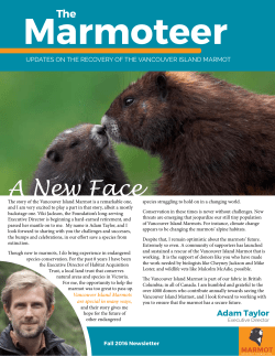 A New Face - Marmot Recovery Foundation