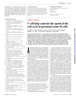 T cell help controls the speed of the cell cycle in germinal center B