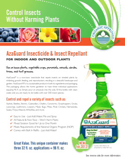 Control Insects Without Harming Plants