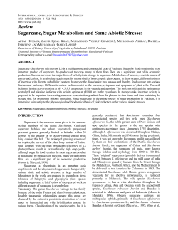 Review Sugarcane, Sugar Metabolism and Some Abiotic Stresses