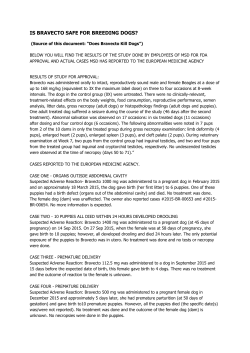 IS BRAVECTO SAFE FOR BREEDING DOGS?