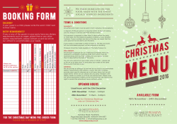 christmas - Sally Pussey