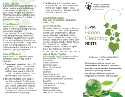 Green Cleaning - Presentation Sisters