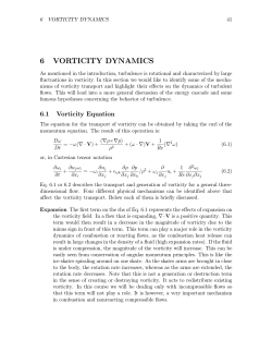 6 VORTICITY DYNAMICS