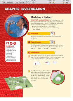 Modeling a Kidney