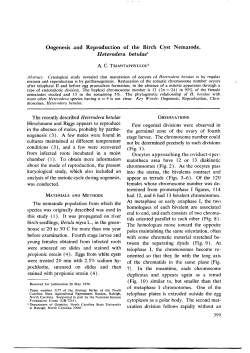 Oogenesis and Reproduction of the Birch Cyst Nematode