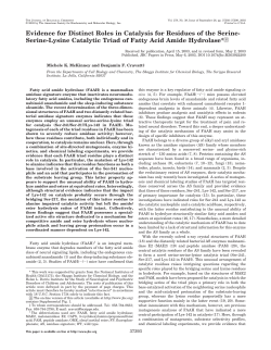 Serine-Lysine Catalytic Triad of Fatty Acid Amide Hydrolase