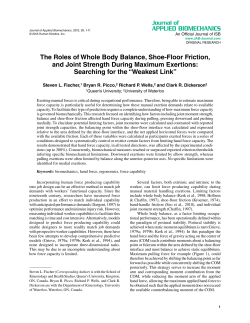 The Roles of Whole Body Balance, Shoe