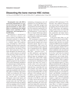 Dissecting the bone marrow hematopoietic stem cell niches