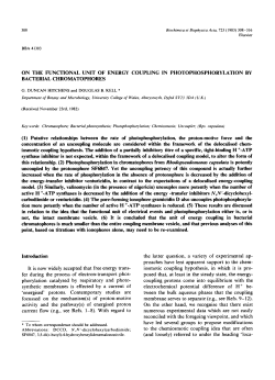 ON THE FUNCTIONAL UNIT OF ENERGY COUPLING IN