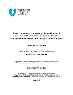 Novel downstream processes for the purification of monoclonal
