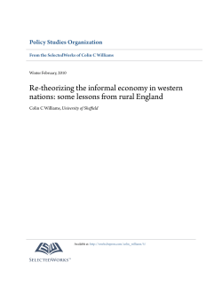 Re-theorizing the informal economy in western nations: some