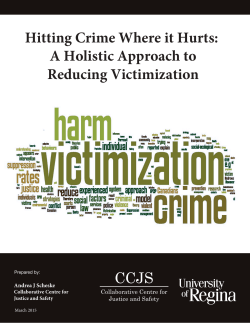Hitting Crime Where it Hurts: A Holistic Approach to Reducing