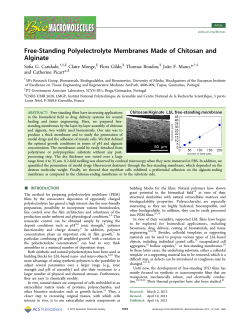 Free-Standing Polyelectrolyte Membranes Made of Chitosan and