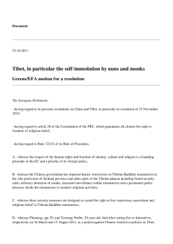 Tibet, in particular the self-immolation by nuns and
