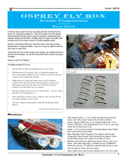 Osprey Fly BOx - Osprey Fly Fishers