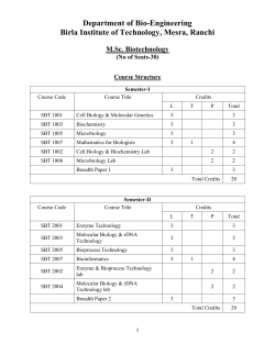 2 Years - BIT Mesra