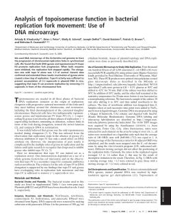 Analysis of topoisomerase function in bacterial replication fork