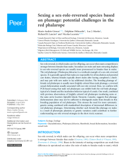 Sexing a sex-role-reversed species based on plumage